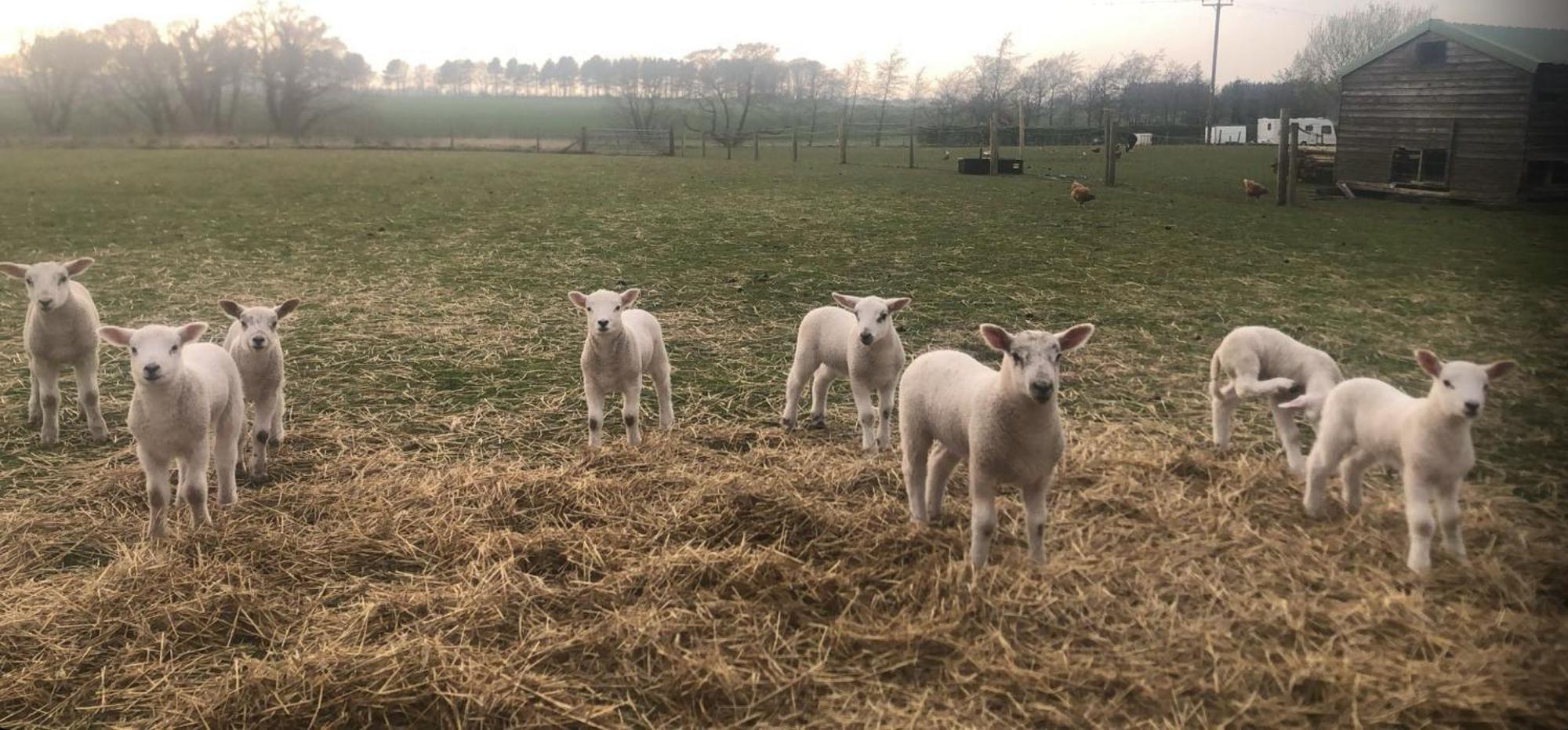 Вилла The Farm Burscough Экстерьер фото